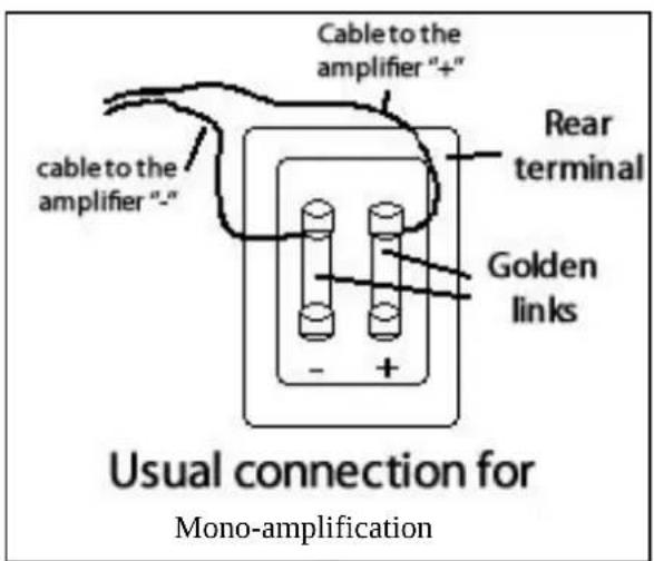 DAVIS 210 ROT2 PRO - Dual Terminals for Bi-amping and bi-wiring: - 1