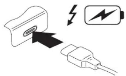 FUJITSU Stylistic Q7312 - PortUSBIntel®Thunderbolt ™ 4avecfonctionde chargeetDisplayport(USBTyp e-C) - 2