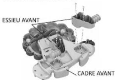 Lorelli Lion - SOINS ET ENTRETIEN - 2