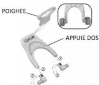 Lorelli Lion - SOINS ET ENTRETIEN - 3