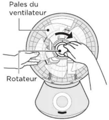 Pales du ventilateur Rotateur
