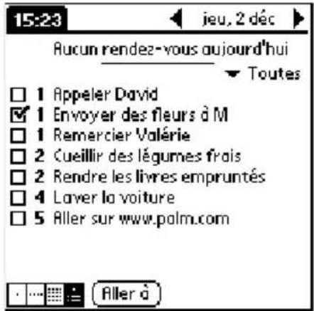 PALM m105 - Pour afficher la vue de l'agenda : - 3