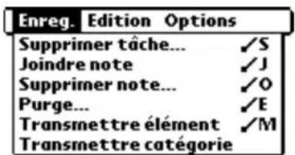 PALM m105 - Menu Enreg. - 1
