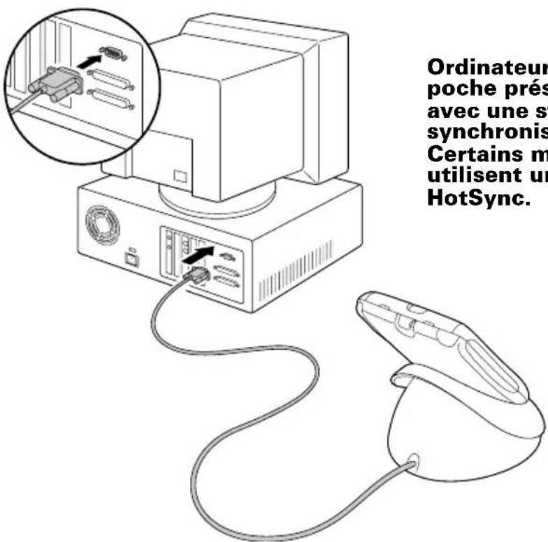 PALM m105 - Pour connecter le câble HotSync ou la station de synchronisation : - 1