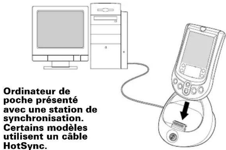 PALM m105 - Pour exécuter une HotSync locale sur un ordinateur Windows : - 1