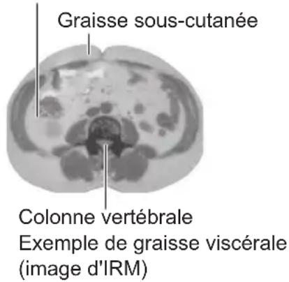 OMRON VIVA HBF222TEBK - Graisse viscérale = graisse entourant les organes internes - 1