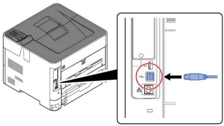 KYOCERA ECOSYS P4135dn - Raccorder le câble à la machine. - 1