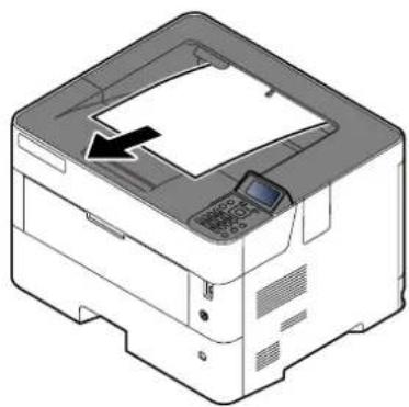 KYOCERA ECOSYS P4135dn - À l'intérieur de la machine - 3