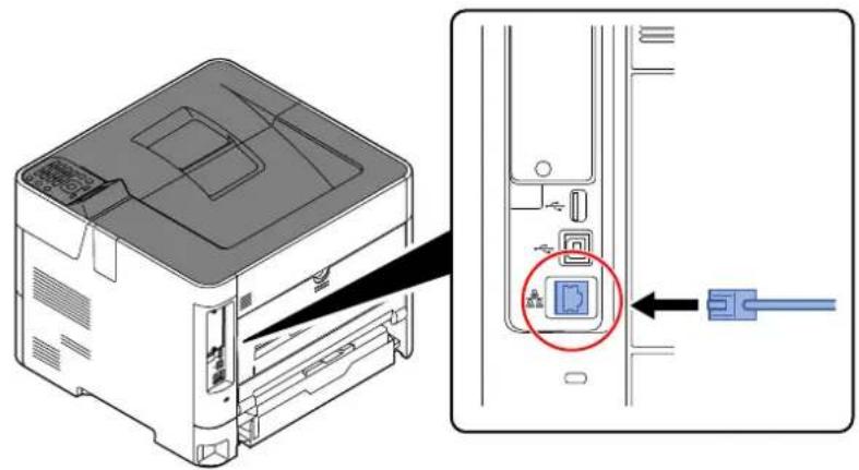 KYOCERA ECOSYS P4135dn - Raccorder le câble à la machine. - 1