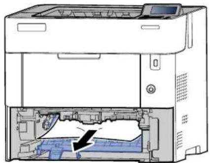 KYOCERA ECOSYS P4135dn - Unité recto-verso - 4