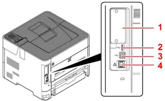 KYOCERA ECOSYS P4135dn - Connecteurs/intérieur - 1