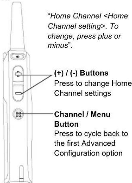 MOTOROLA DLR1020 - Home Channel - 2
