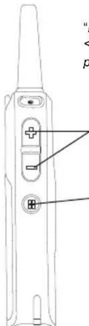 MOTOROLA DLR1020 - Maximum Channels - 2