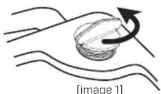 Chapin 78005 - [Utilisez l'illustration de couverture à titre de référence] - 1