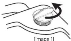 Chapin 78005 - [Utilisez l'illustration de couverture à titre de référence] - 1