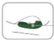 Foppapedretti Disk Grow iSize - Dos 100 cm ate os 150 cm (i-Size booster seat) - 23