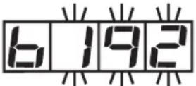 IFM AC1004 - A Address controller (default address = 001) - 1