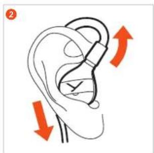 BEYERDYNAMIC DT 71 IE - INSERTING AND WEARING THE EARPHONES - 2