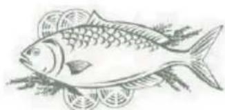 THOMSON THM 82 IX - Poisson et fruits de mer - 1