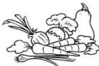 THOMSON THD400NFSL - Fruits et légumes frais - 1