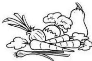 THOMSON THD 252 NFWH - Fruits et légumes frais - 1