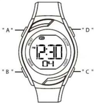 Calypso K5738 Digital - 1