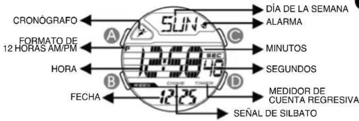 Calypso K5697 Digital - 1