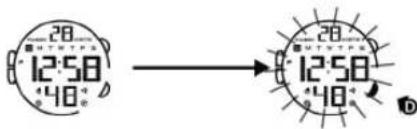 Calypso K5657 - DIE EL BELEUCHTUNG - 8