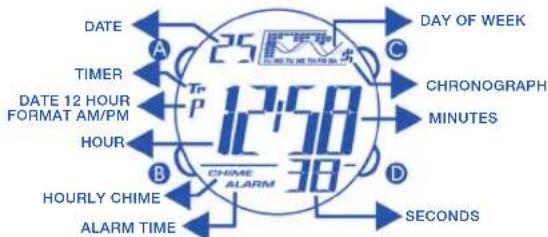 Calypso K5532 - REGULAR DISPLAY AND BUTTON OPERATION - 1