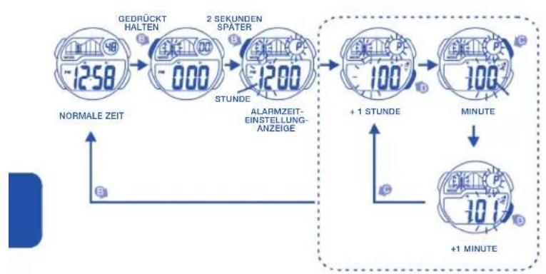 Calypso K5506 Digital - BEACHTENSIE: - 1