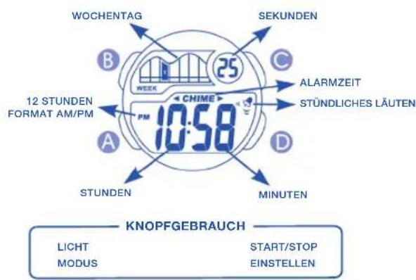 Calypso K5506 Digital - 1