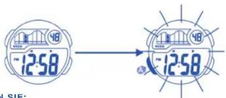 Calypso K5506 Digital - DIE EL BELEUCHTUNG - 1