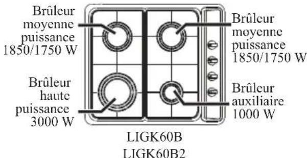 Limit LIGK30X - INTRODUCTION - 2
