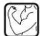 BOSCH GWS 17150E CI Professional - Symbole Signification - 8