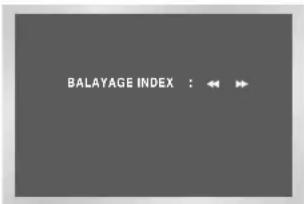 BALAYAGE INDEX : ← →