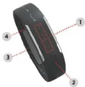 POLAR Loop - Voici votre Polar Loop - 1