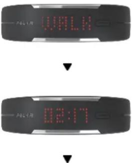 POLAR Loop - Suivez votre activité quotidienne - 5