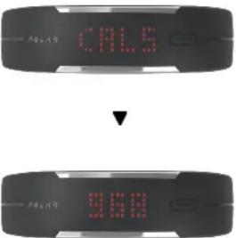POLAR Loop - Suivez votre activité quotidienne - 7