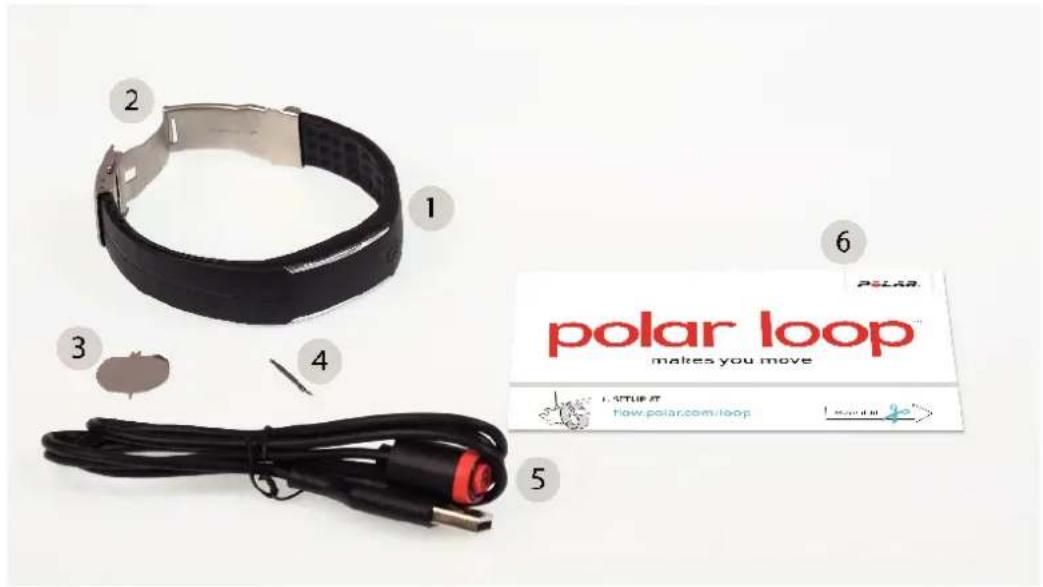POLAR Loop - Contenu - 1