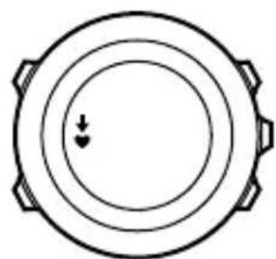 SUUNTO Ambit 3 Sport 2.0 - Programmes d'entrainment - 4