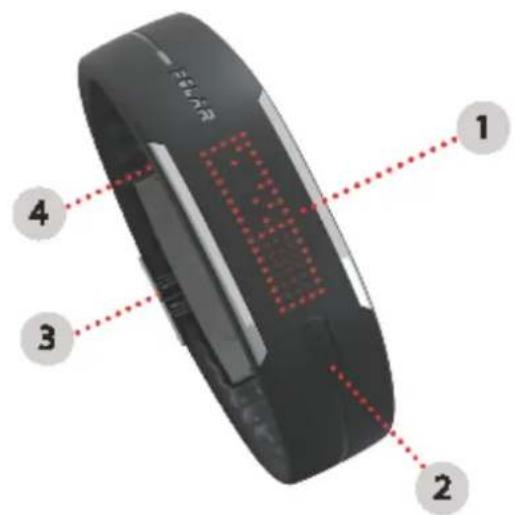 POLAR Loop Crystal - VOICI VOTRE POLAR LOOP CRYSTAL - 1