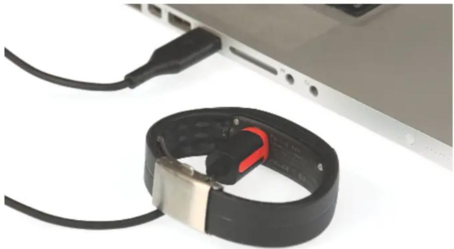 POLAR Loop Crystal - BRANCHER VOTRE POLAR LOOP CRYSTAL - 2