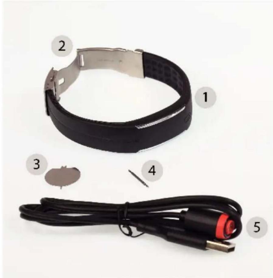 POLAR Loop Crystal - CONTENU - 1