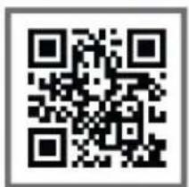 ACER Liquid Leap Active - Benutzerhandbuch - 4