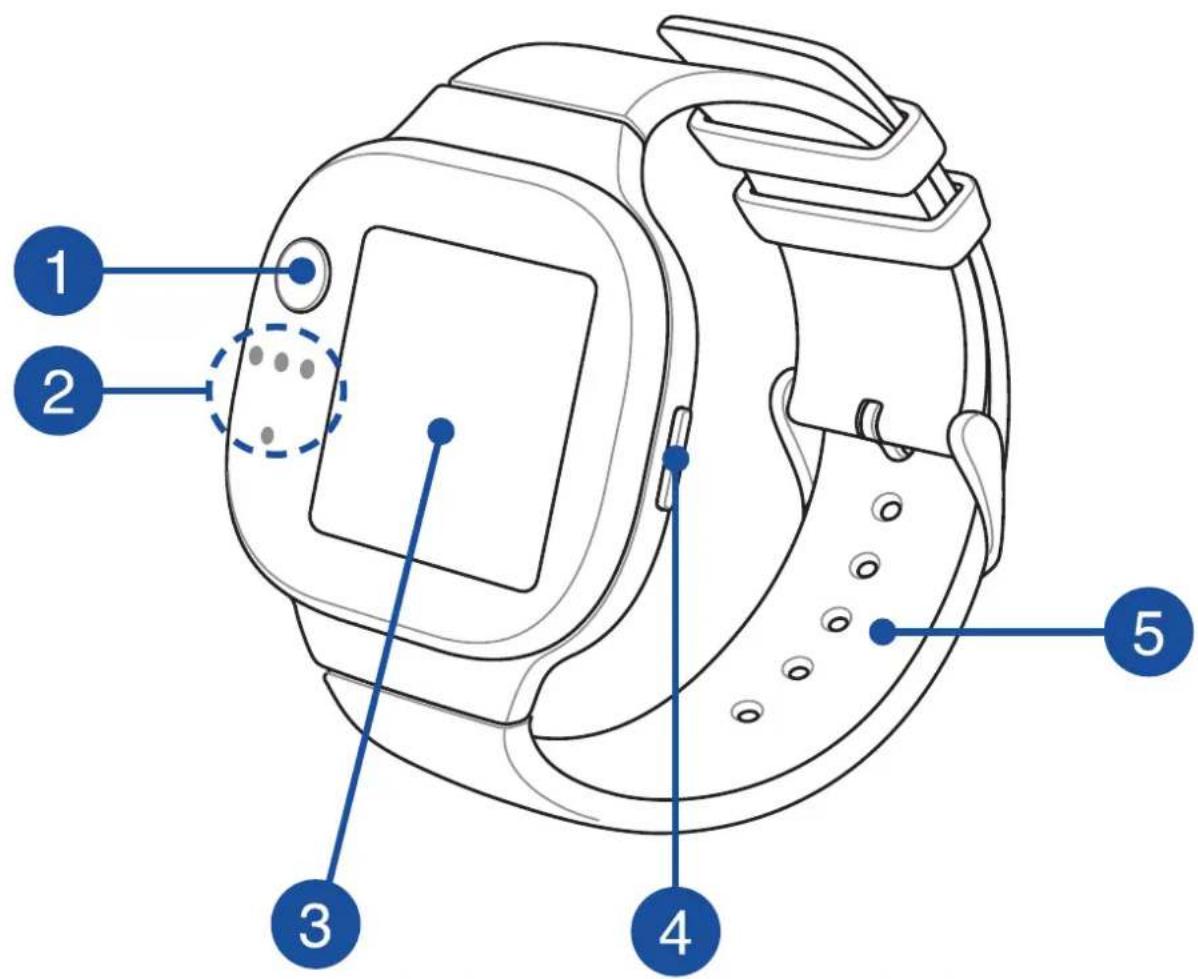 ASUS VivoWatch BP - Знакомство с устройством - 1