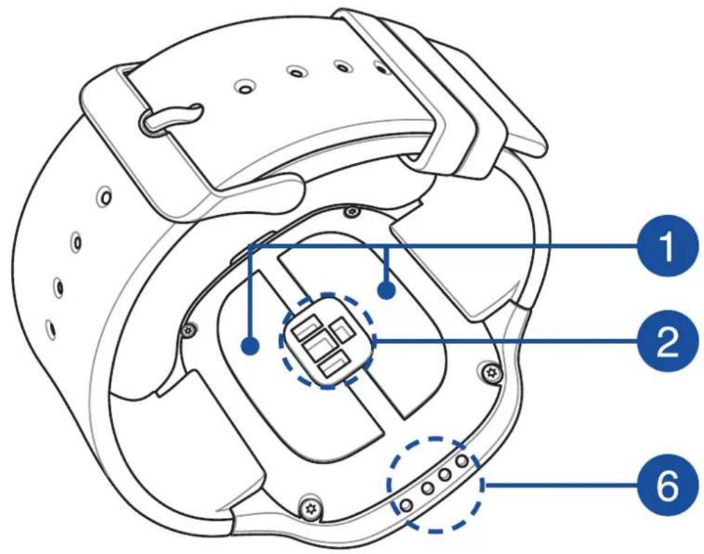 ASUS VivoWatch BP - Знакомство с устройством - 2