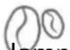 CASO Café Crema One 1881 - Attenzione - 2