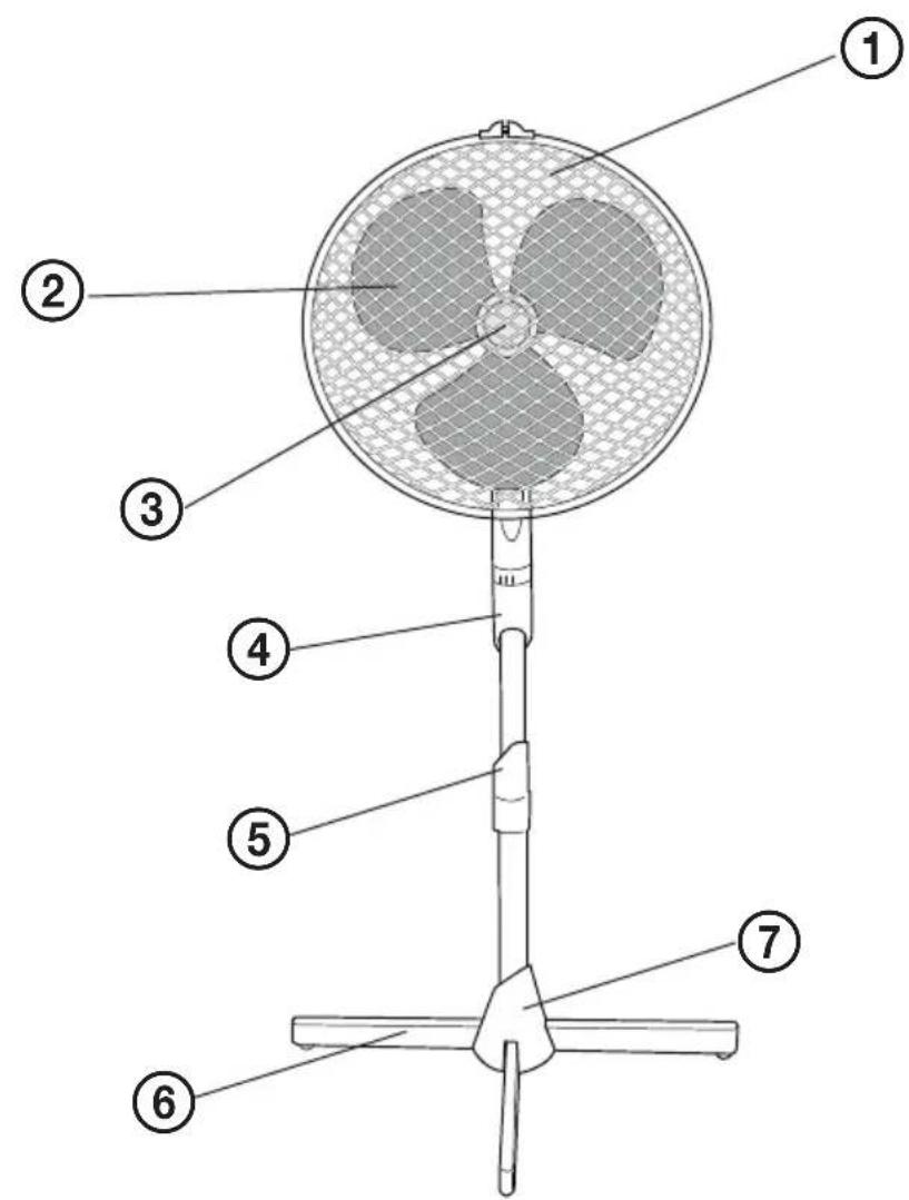 ECG FS 43 - FS 43 - 1