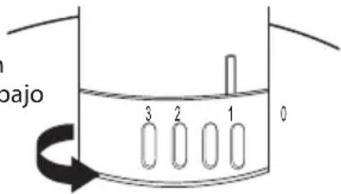 ECG FT 33 - USO - 1