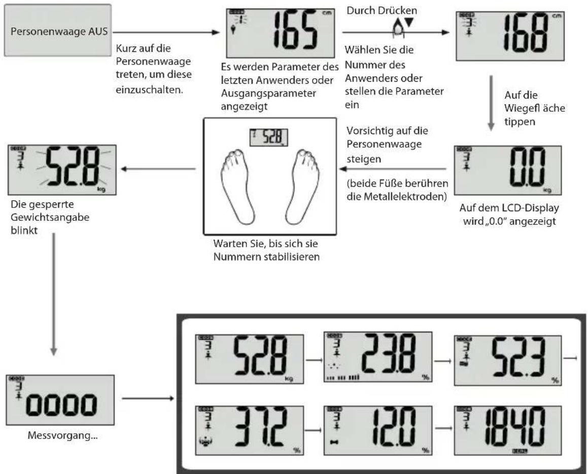 ECG OV 125 - Messen körperlicher Angaben - 1